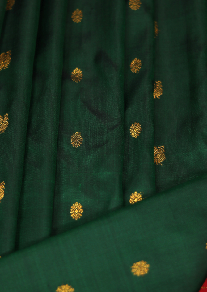 Signature Gap Border Twist with Fancy Pallu & Butti